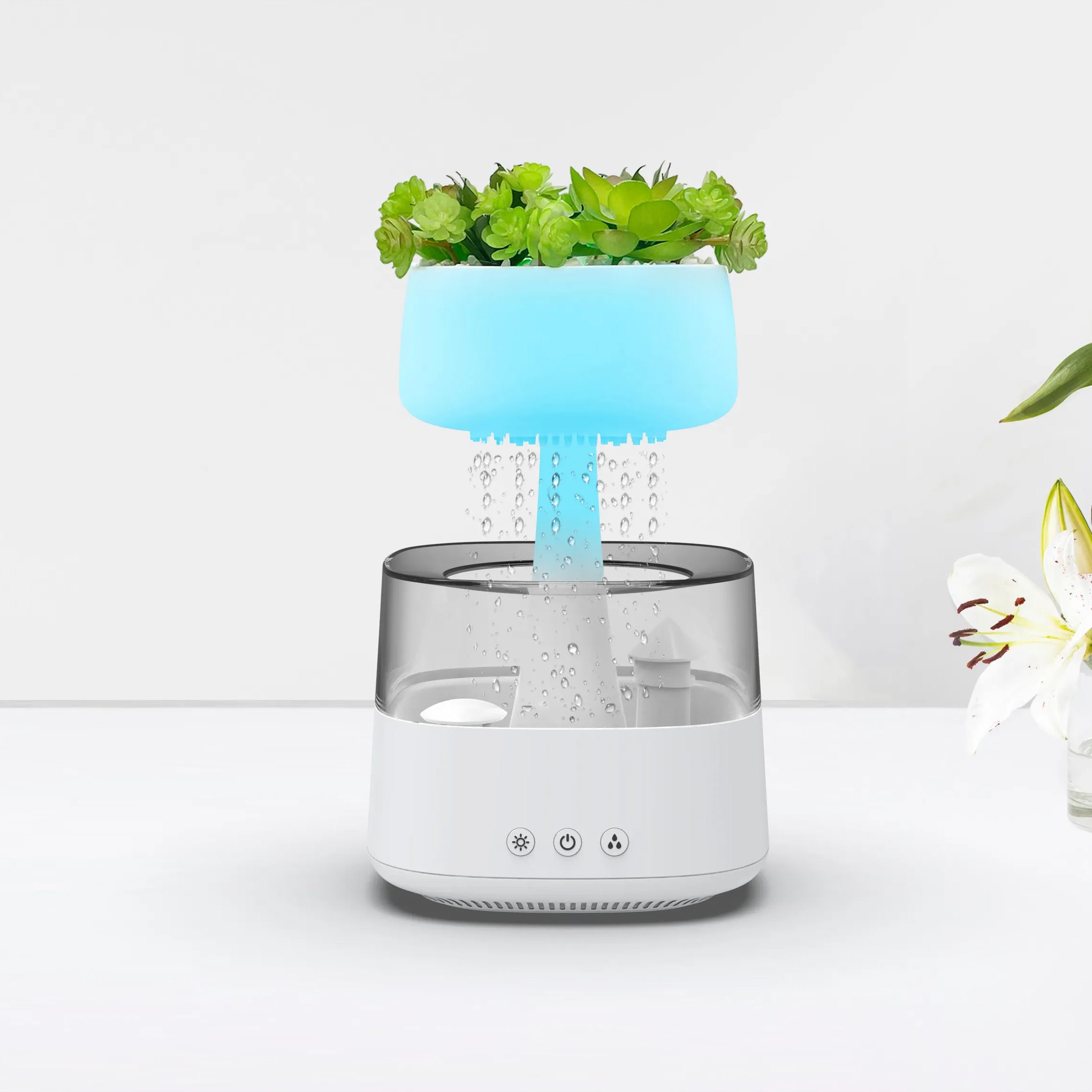 Sleep Aid Aromatherapy Humidifier Succulent Type - Giftroza